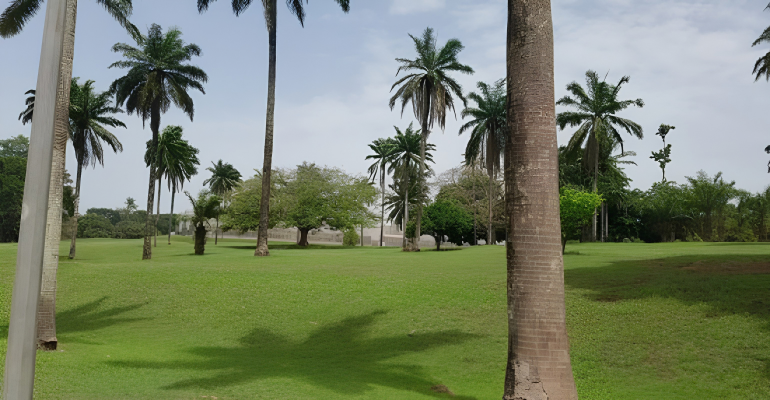 IITA Resort Ibadan: 7 Incredible Reasons to Plan Your Next Getaway 1 IITA Resort Ibadan surrounded by nature